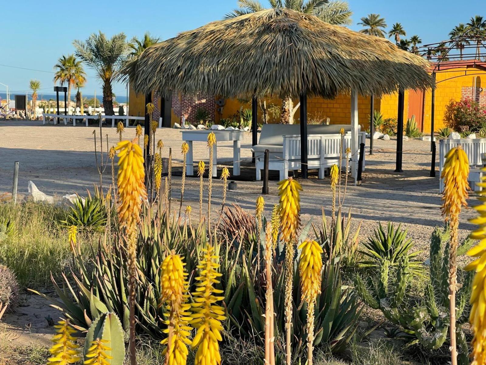 Hotel Las Palmas San Felipe  Exterior foto