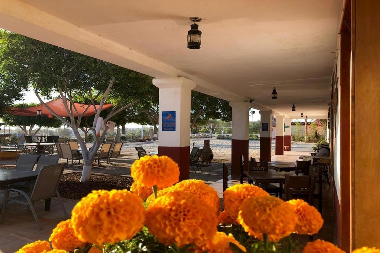 Hotel Las Palmas San Felipe  Exterior foto